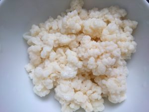 Кефирный грибок
