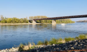 Rhein